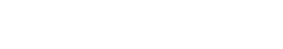 MasterCard white icon