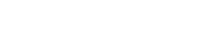 PayPal white icon